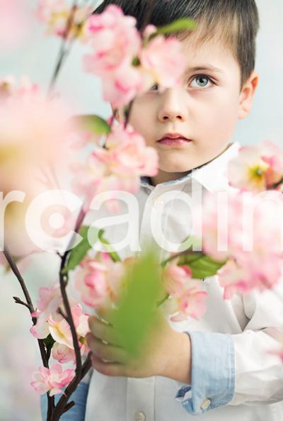Eli Mora Photo - stockfresh_5614566_little-elegant-boy-holding-a-flower_sizeXL.jpg
